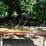 photo 2021-09-06 10-01-31