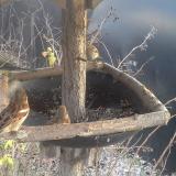 photo 2019-12-29 14-37-46