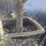 photo 2019-12-26 09-57-01