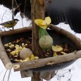 photo 2019-01-12 12-24-32