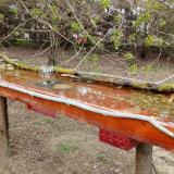 photo 2021-04-06 14-07-13