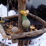 photo 2019-01-14 07-49-54