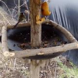 photo 2019-02-08 12-28-56