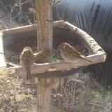 photo 2019-02-13 09-07-37