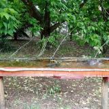 photo 2021-05-19 11-43-12