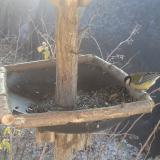 photo 2019-12-30 11-08-35