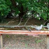 photo 2021-07-02 12-30-54