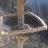 photo 2019-03-04 11-54-53