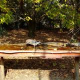 photo 2021-10-12 12-26-48