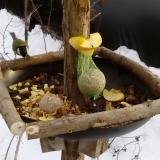 photo 2019-01-12 14-51-26