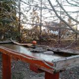 photo 2022-03-14 06-28-09