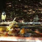 photo 2021-10-02 12-40-21 trio