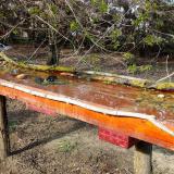 photo 2021-04-08 16-27-46