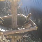 photo 2019-02-18 09-53-20