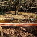 photo 2021-10-26 09-40-25