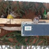 photo 2021-02-11 11-05-54