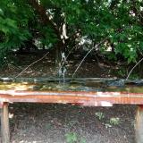 photo 2021-08-04 13-36-32