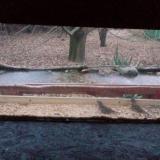 photo 2021-12-09 07-39-59