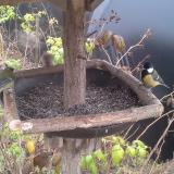 photo 2019-12-12 09-52-04