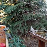 photo 2021-11-12 15-08-21