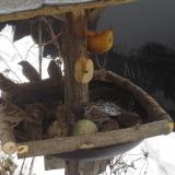 photo 2019-01-28 14-44-54