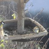 photo 2019-12-26 09-58-37