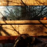 photo 2022-01-24 08-50-44