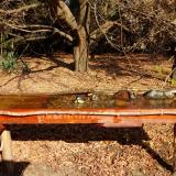 photo 2021-10-27 11-08-21