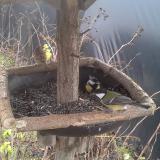 photo 2019-12-25 11-04-41