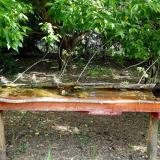 photo 2021-05-12 09-28-26