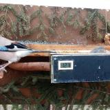 photo 2021-03-05 10-37-15