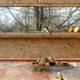 photo 2022-01-22 13-21-32