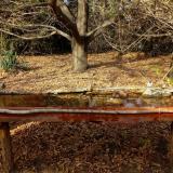 photo 2021-10-26 14-33-36