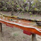 photo 2021-04-06 15-30-57