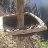 photo 2019-03-13 08-39-27