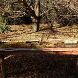 photo 2021-10-25 14-24-35