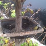 photo 2019-12-02 09-16-38