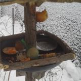 photo 2019-01-25 09-49-32