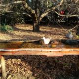 photo 2021-10-28 09-15-55