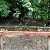 photo 2021-07-03 09-31-37