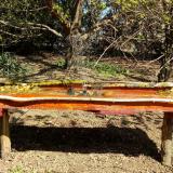 photo 2021-04-10 11-12-28