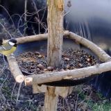 photo 2019-01-03 11-22-45