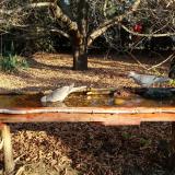 photo 2021-10-28 09-16-00