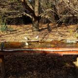 photo 2021-10-27 14-10-14