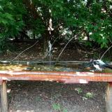 photo 2021-08-04 13-37-05