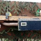 photo 2021-02-10 11-41-43