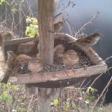 photo 2019-12-18 08-10-51