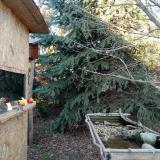 photo 2021-12-17 14-37-16