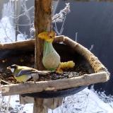 photo 2019-01-21 08-44-26