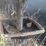 photo 2019-12-26 09-23-57